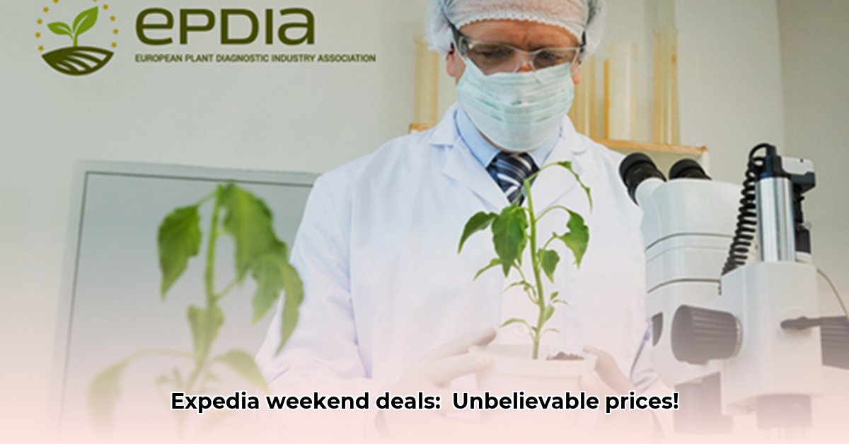 epdia